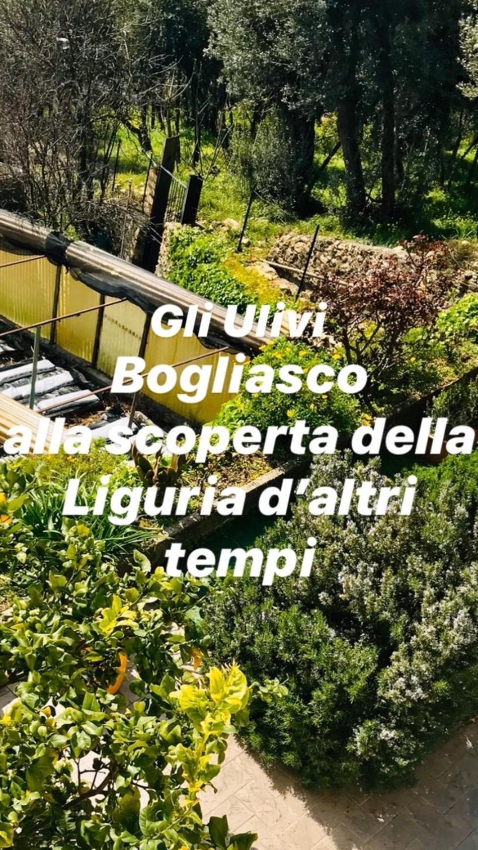 Villa Cav Gli Ulivi Di Bogliasco Extérieur photo