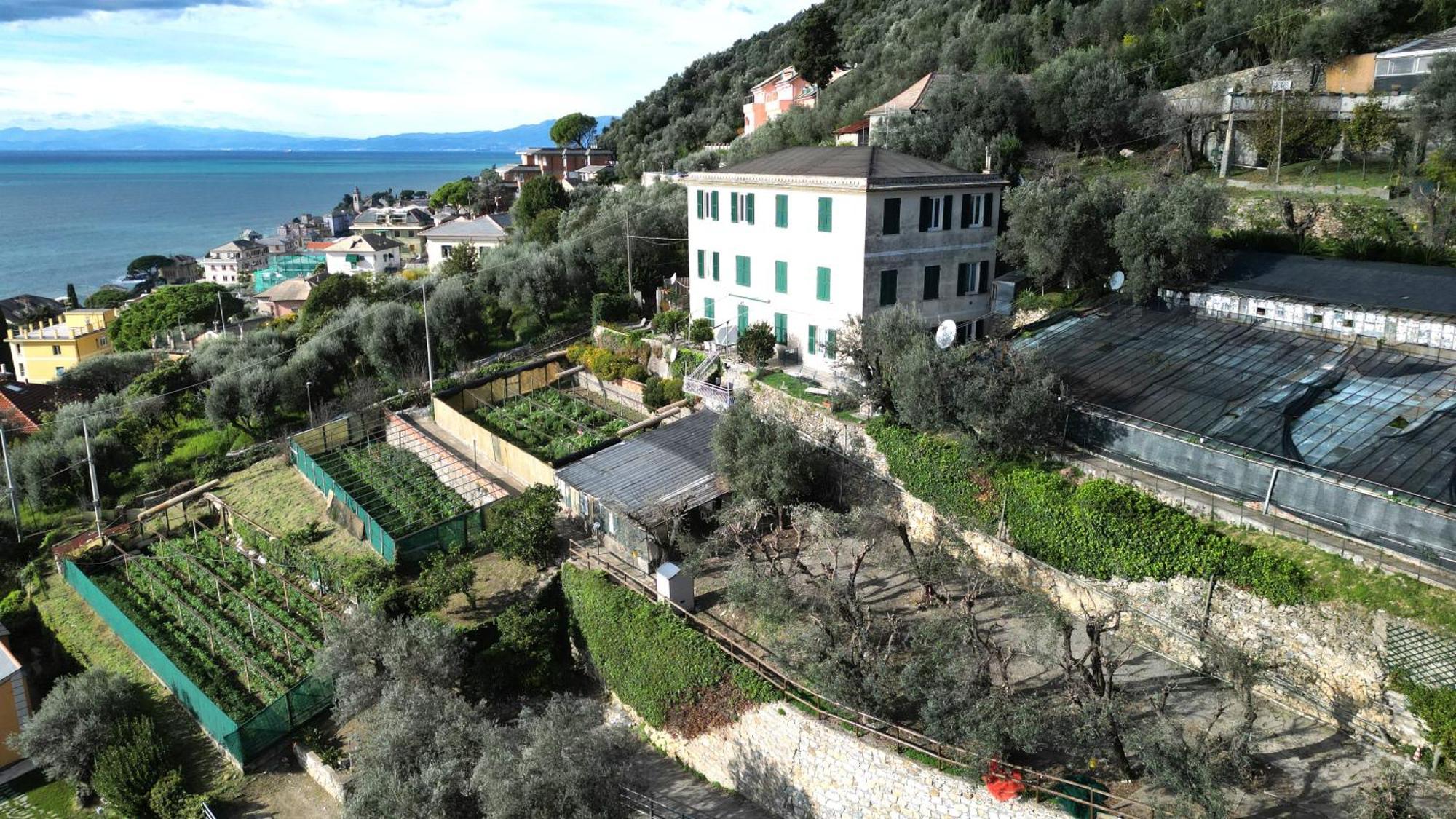 Villa Cav Gli Ulivi Di Bogliasco Extérieur photo