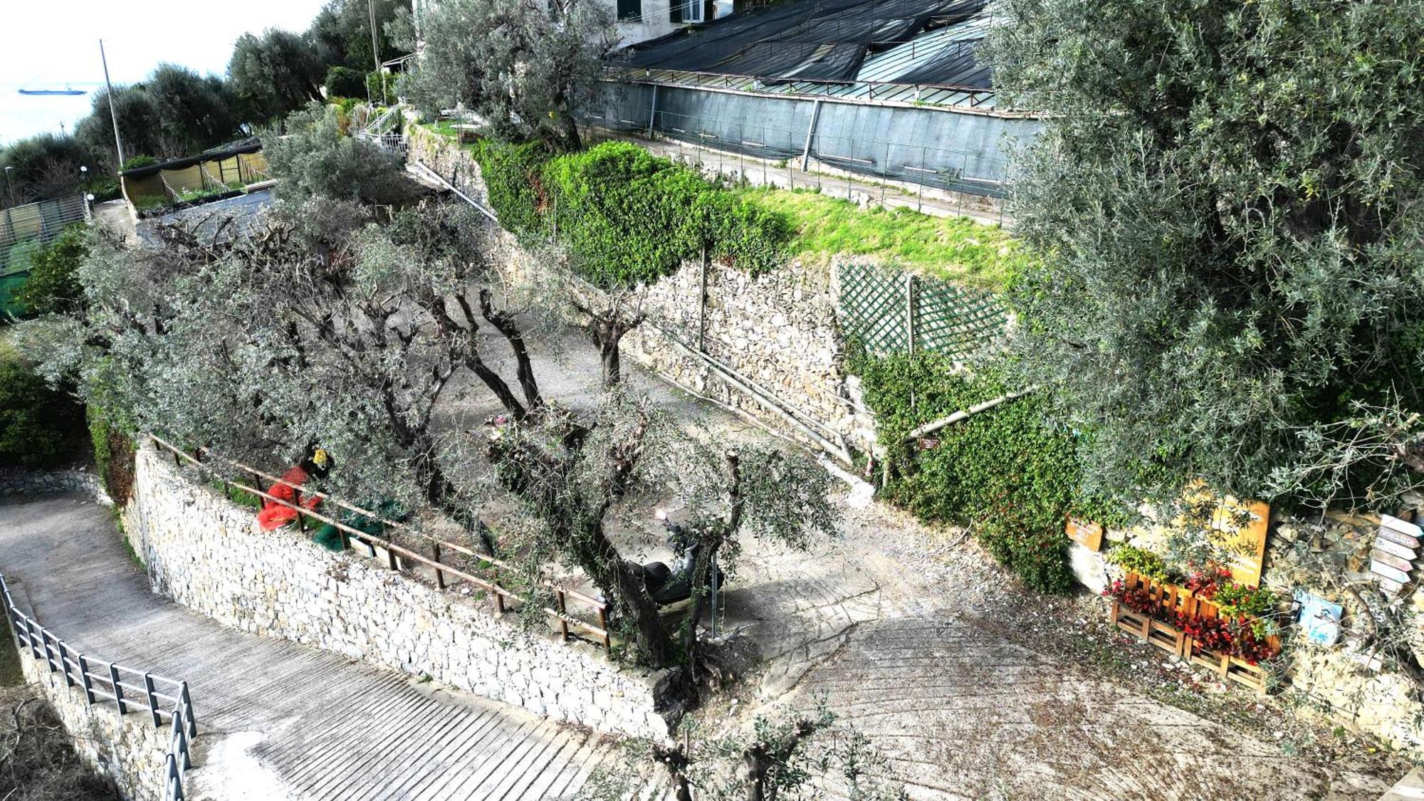 Villa Cav Gli Ulivi Di Bogliasco Extérieur photo